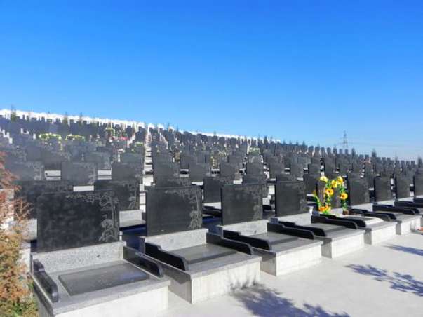 关于我市近期将开展骨灰海葬活动的通知